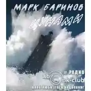 Постер книги Цунами