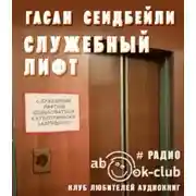 Постер книги Служебный лифт