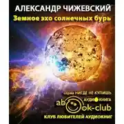 Постер книги Земное эхо солнечных бурь