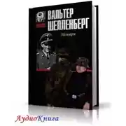 Постер книги Лабиринт. Мемуары гитлеровского разведчика