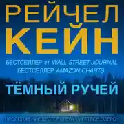 Постер книги Темный ручей
