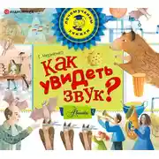 Постер книги Как увидеть звук?