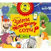 Постер книги Зачем телефону соты?
