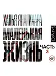 Янагихара Ханья - Маленькая жизнь (часть 3-я)