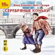 Постер книги Серебряные коньки