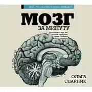 Постер книги Мозг за минуту