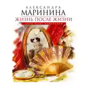 Постер книги Жизнь после Жизни