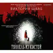 Постер книги Туннель из костей