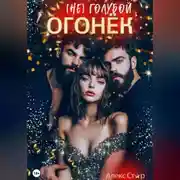 Постер книги (НЕ) голубой огонёк