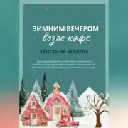 Постер книги Зимним вечером возле кафе