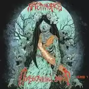 Постер книги Полуночный эфир