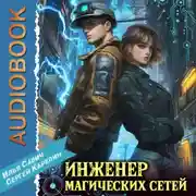 Постер книги Инженер магических сетей