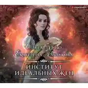 Постер книги Институт идеальных жен