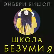 Постер книги Школа безумия