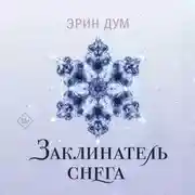 Постер книги Заклинатель снега