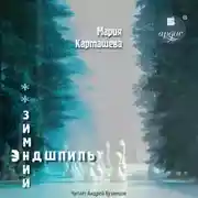 Постер книги Зимний эндшпиль