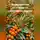 Война Владимир - Промышленное выращивание облепихи: от саженца до рынка