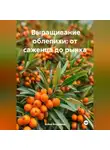 Война Владимир - Промышленное выращивание облепихи: от саженца до рынка