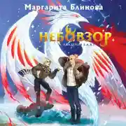 Постер книги Небовзор