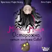 Постер книги Мирелла Мануш. Осторожно, летит госпожа Сова!
