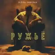Постер книги Ружьё