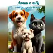 Постер книги Лапки к небу