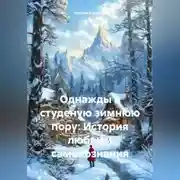 Постер книги Однажды в студеную зимнюю пору: История любви и самопознания