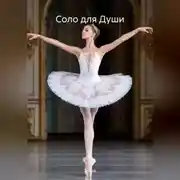 Постер книги Соло для Души