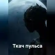 Постер книги Ткач пульса