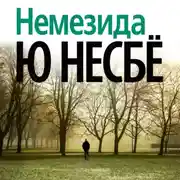 Постер книги Немезида