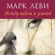 Постер книги Между небом и землей