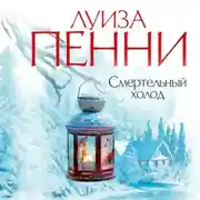 Постер книги Смертельный холод
