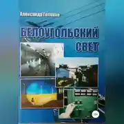 Постер книги Белоугольский свет