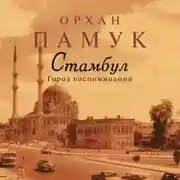Постер книги Стамбул. Город воспоминаний