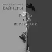 Постер книги Гонки по вертикали