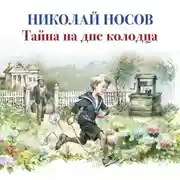 Постер книги Тайна на дне колодца
