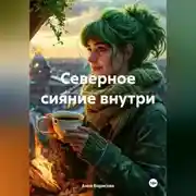 Постер книги Северное сияние внутри