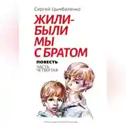 Постер книги Жили-были мы с братом. Часть 4