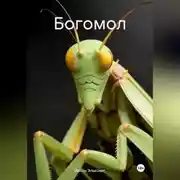 Постер книги Богомол