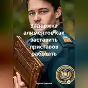 Постер книги Задержка алиментов как заставить приставов работать