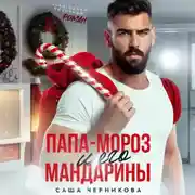 Постер книги Папа-Мороз и его мандарины