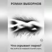 Постер книги Что скрывает порно?