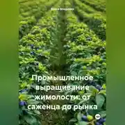 Постер книги Промышленное выращивание жимолости: от саженца до рынка