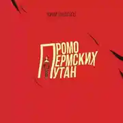 Постер книги Промо пермских путан