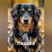 Постер книги Ледька