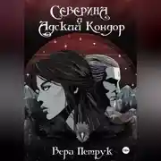 Постер книги Северина и Адский Кондор