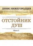 Денис Нижегородцев - Отстойник душ