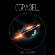 Постер книги Образец