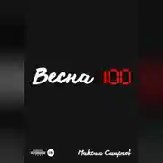 Постер книги Весна100