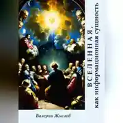 Постер книги Вселенная, как информационная сущность